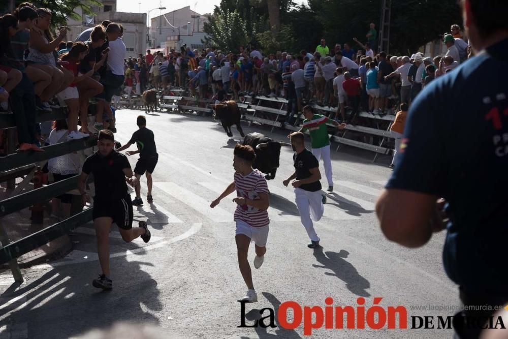 Tercer encierro en Calasparra