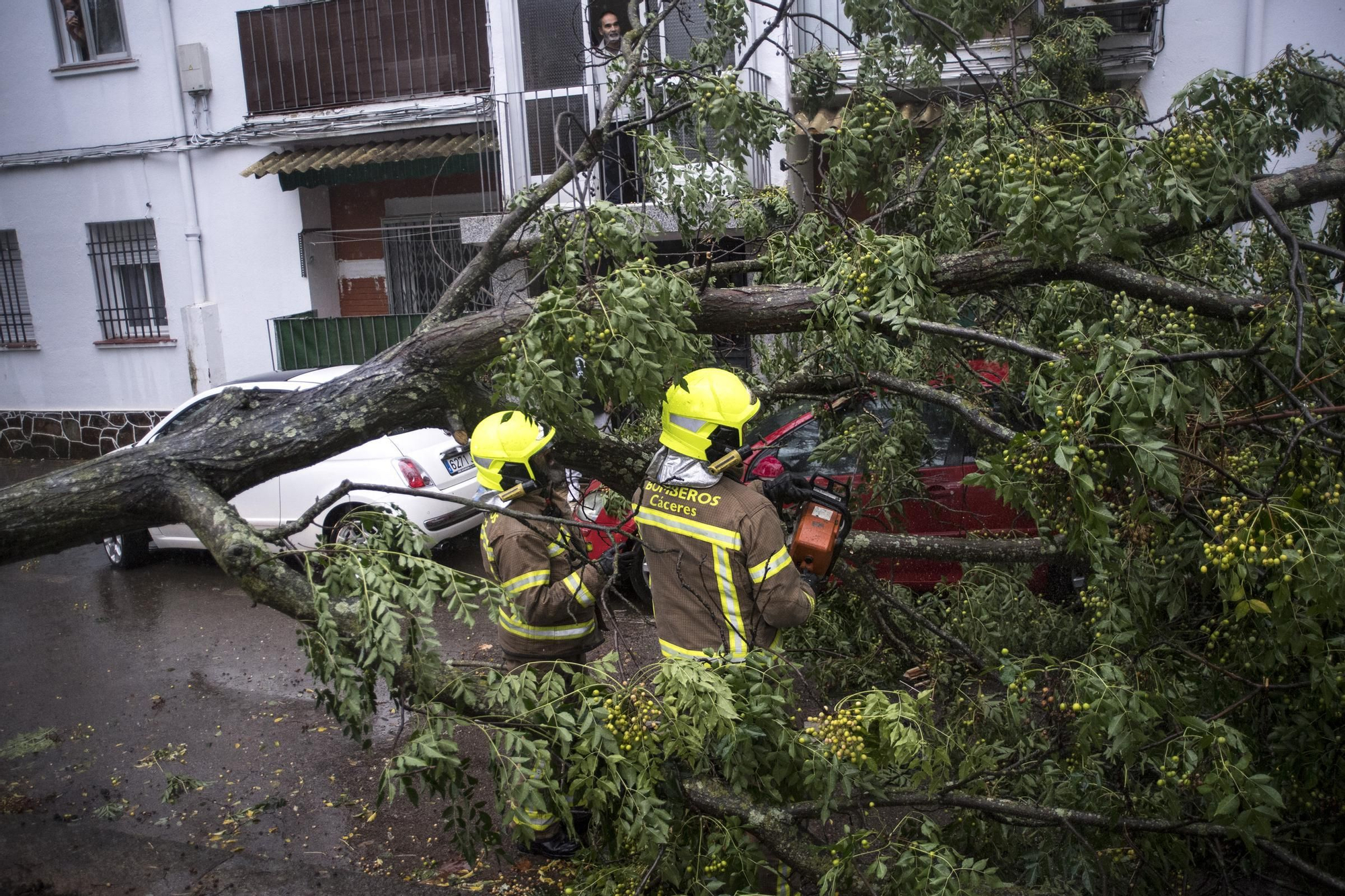 Fotogalería | Así afecta el temporal de lluvia y viento en Cáceres