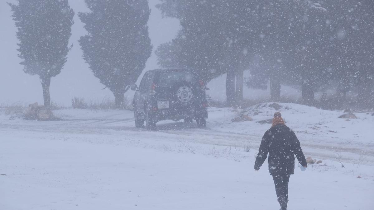 Nieve en La Encina.