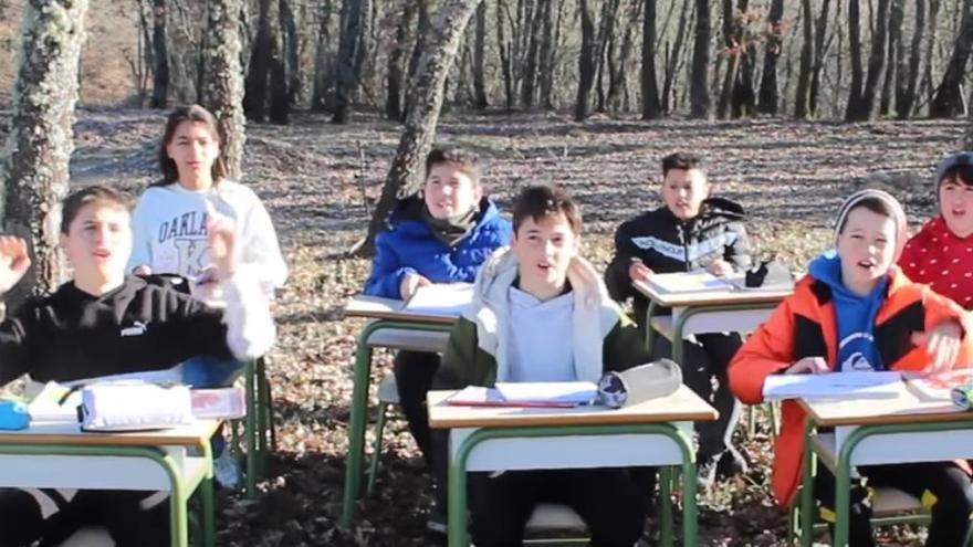 VÍDEO | Ayuda a este colegio de Sanabria a ganar el Festival de Clipmetrajes sobre desarrollo sostenible