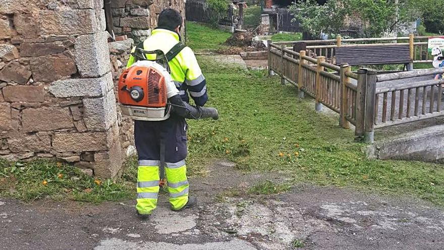 Un trabajador, durante las labores de limpieza en Santibáñez. | Camporro