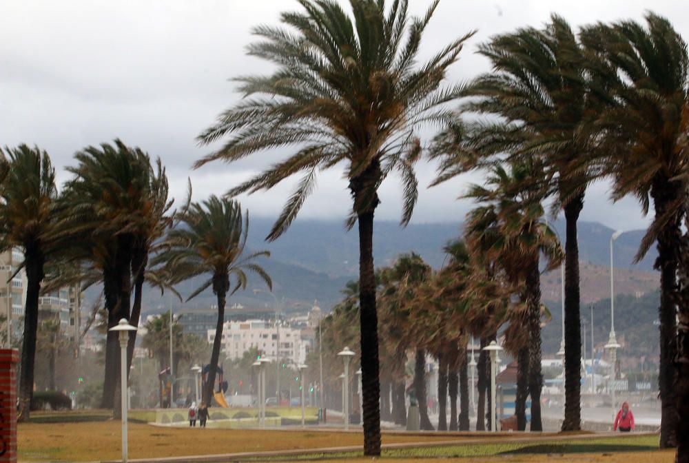 Fin de semana con lluvia y viento en Málaga