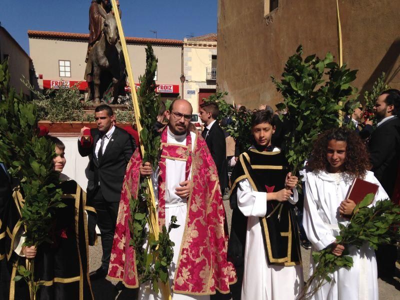 Semana Santa en Toro: La Borriquita