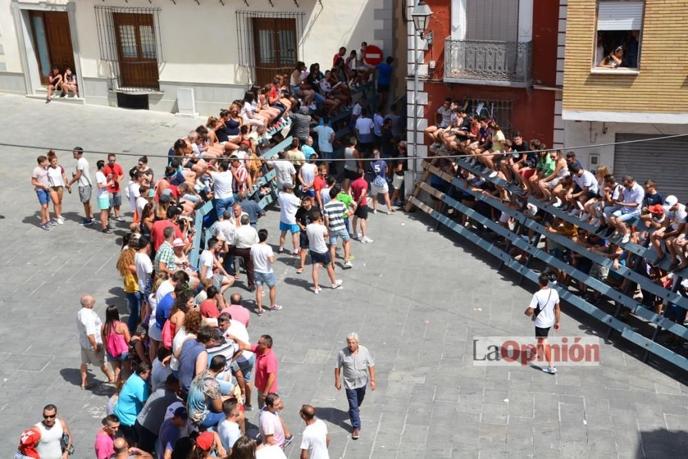 I Encierro de Blanca 2016