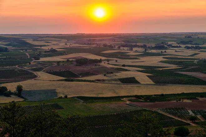 Puesta de sol en la Ribera del Duero, España