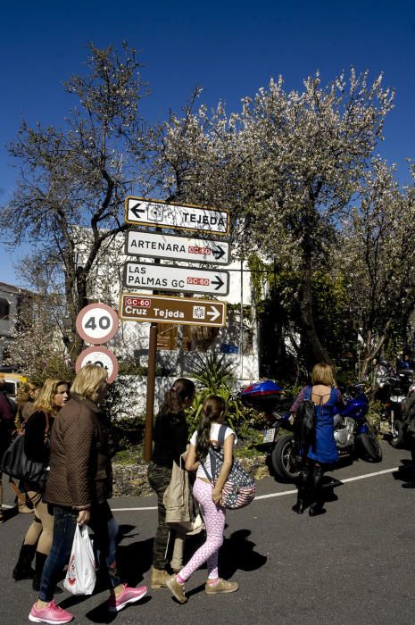 Fiesta del Almendro en Flor en Tejeda