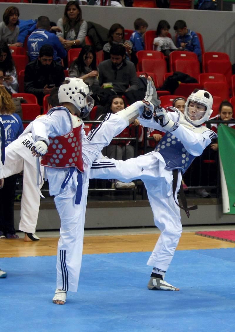 Trofeo Ciudad de Zaragoza de taekwondo