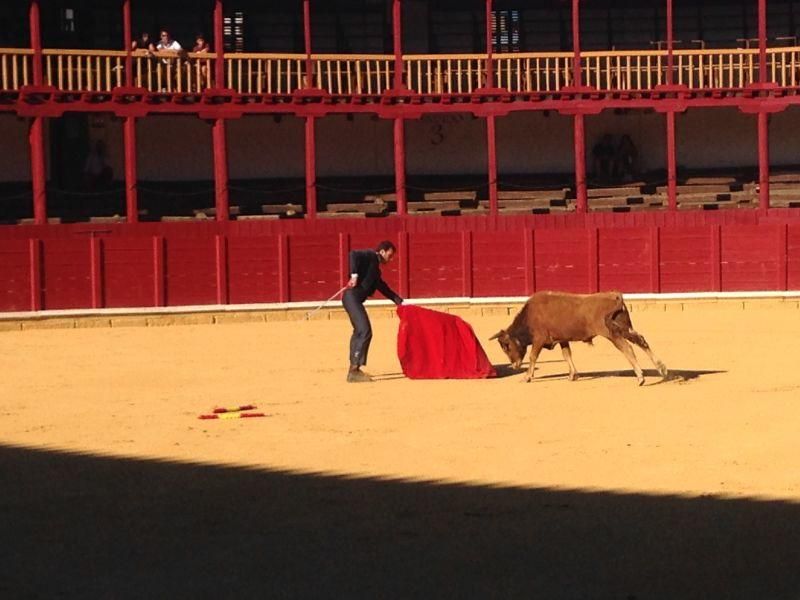 Fiestas en Toro | Becerrada de las peñas