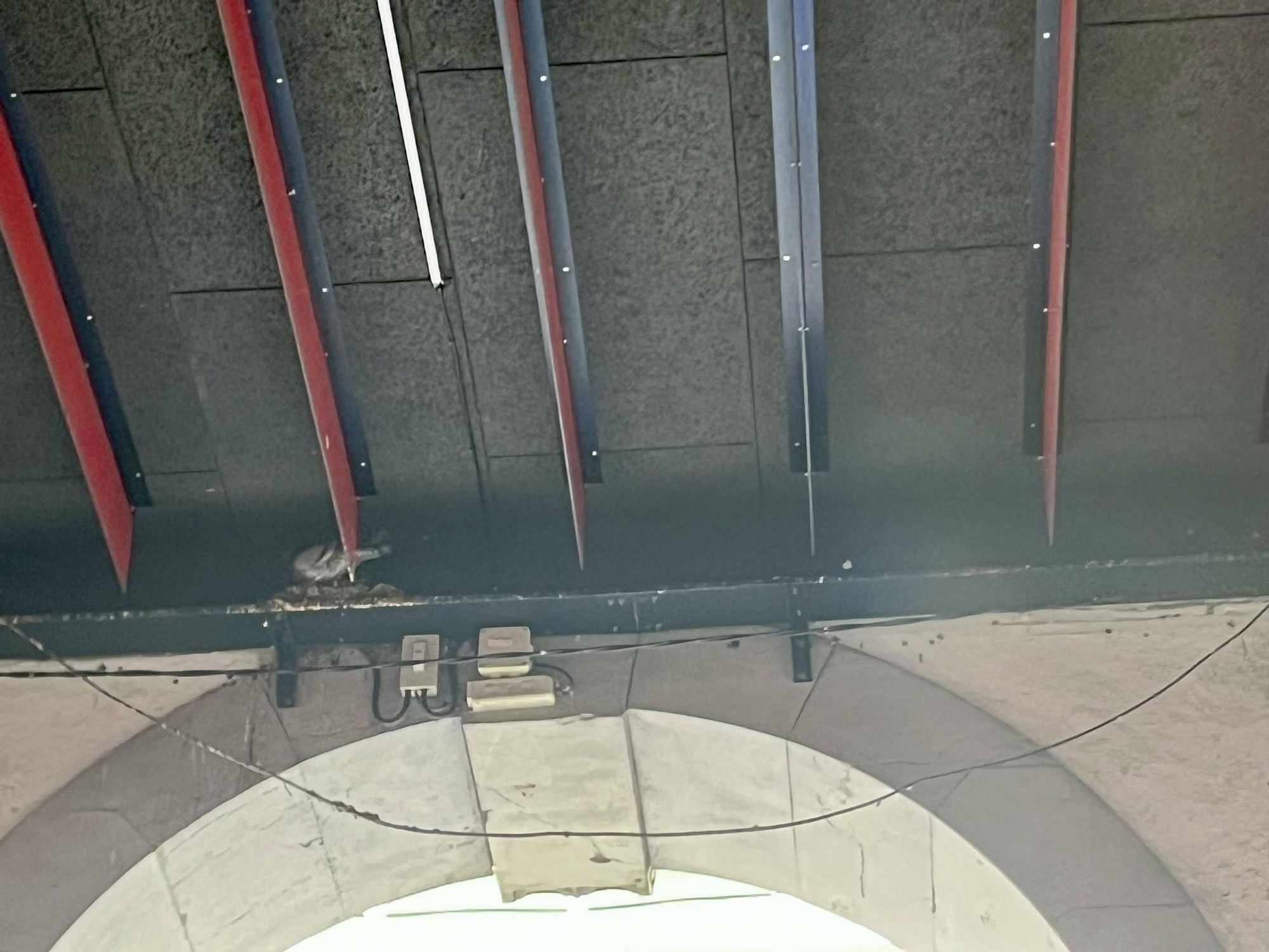 Las pruebas para mejorar el suelo de la calle Marqués de San Esteban, en imágenes