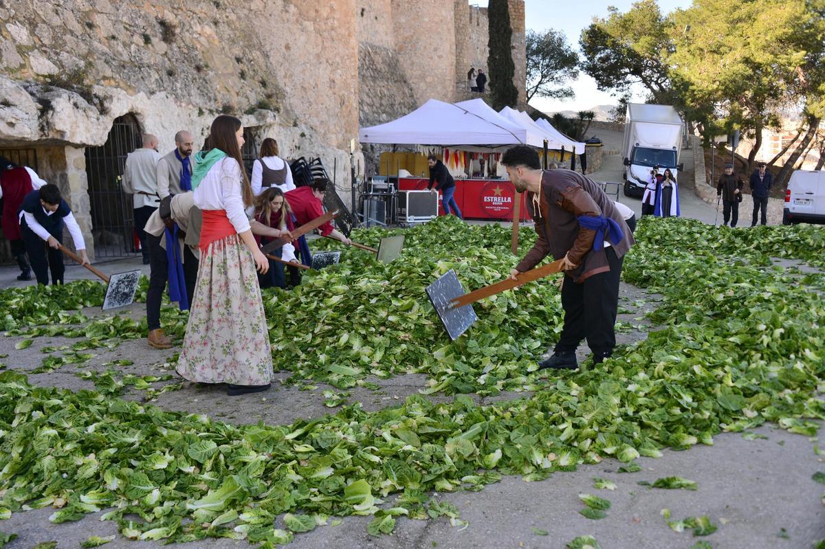 Lechugas al cielo para una batalla campal en Villena