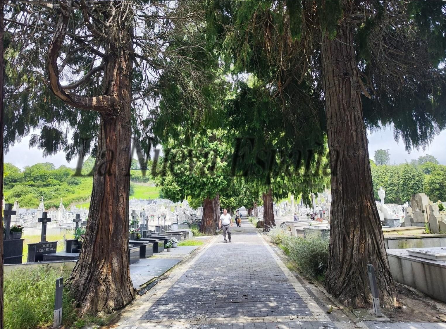 El camposanto de Grado, en imágenes