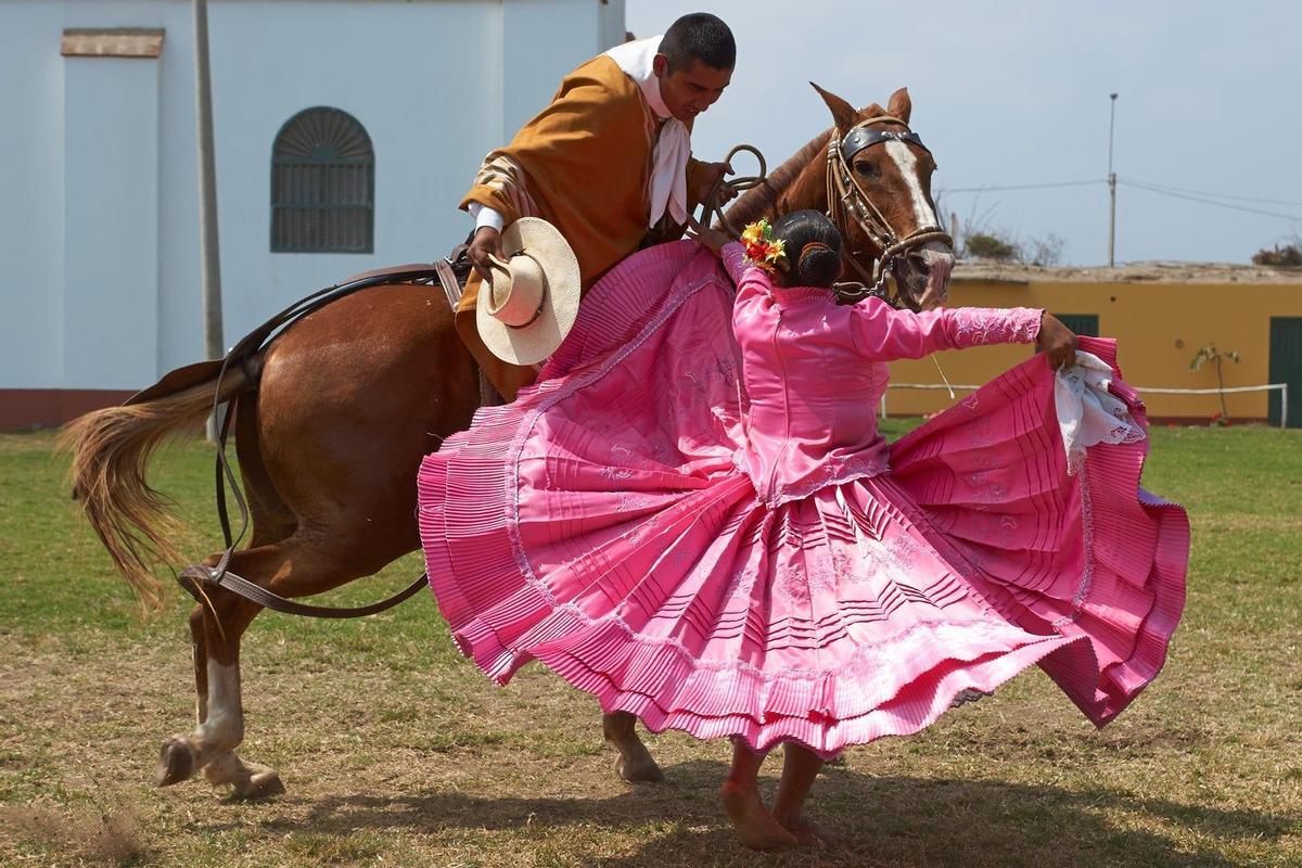 Caballos de Paso