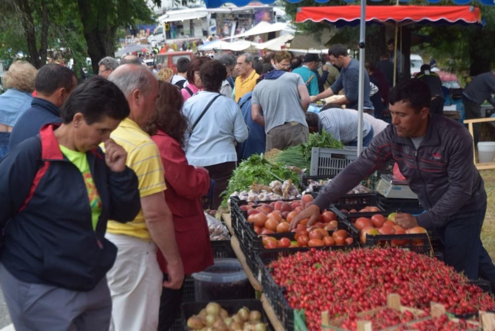 Momentos de la romería de "La Riberinha".