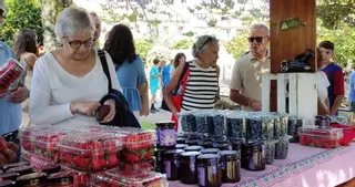 Fin de semana lleno de actividad en Villaviciosa