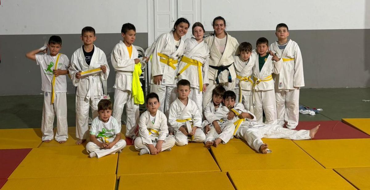 Los alumnos de judo mostraron todo lo aprendido durante el año en Lécera.  | SERVICIO ESPECIAL