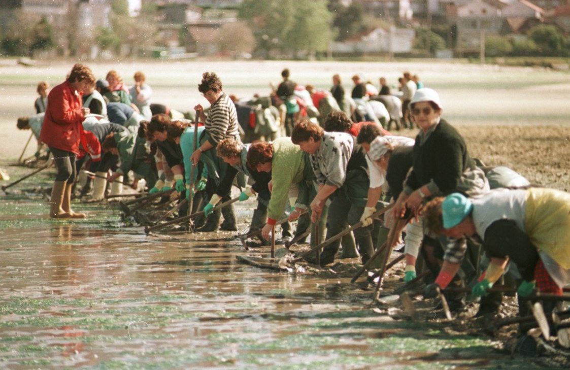 Mariscadoras de Moaña en 1998