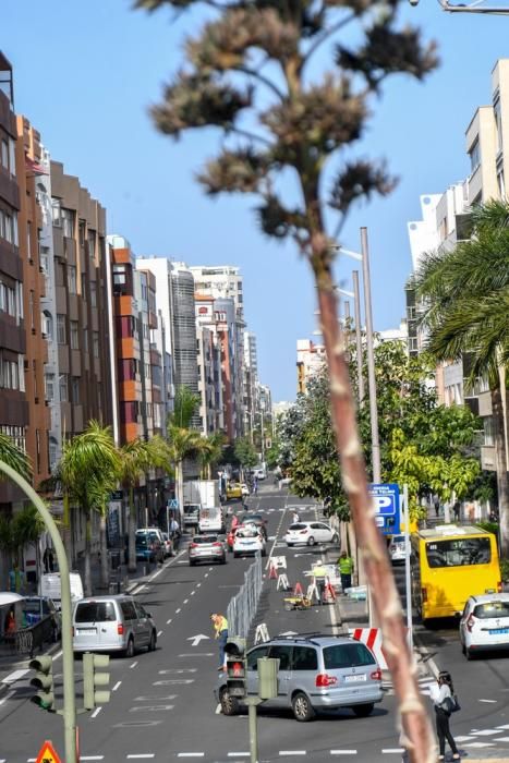 Obras de la MetroGuagua en la calle Venegas