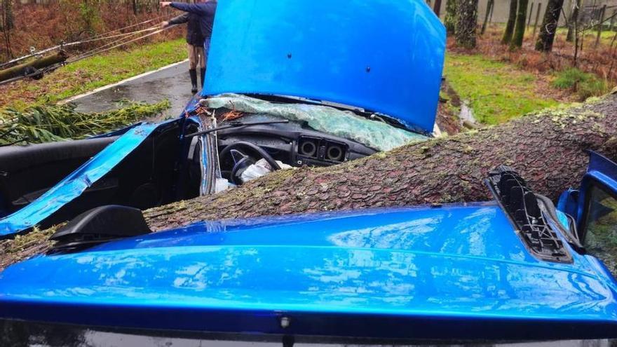«Repites 100 veces este accidente y en 99 hay fallecidos»: el «milagro» del árbol que destrozó un coche en Caldas