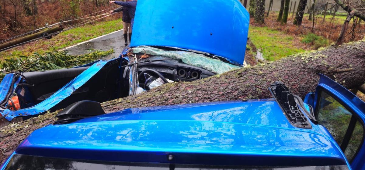 El árbol partió el coche en dos