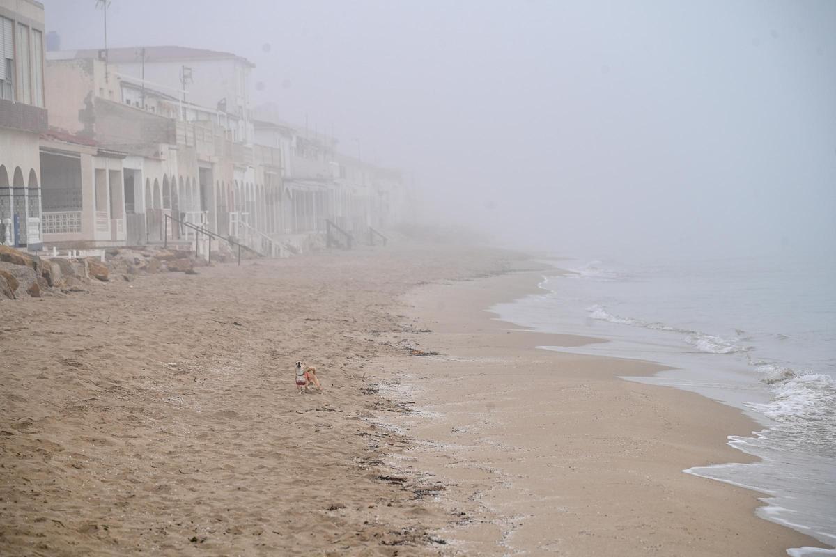 La niebla deja estampas invernales en la provincia de Alicante