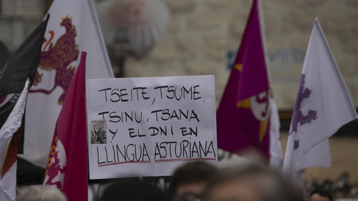 Los partidarios de la cooficialidad del asturiano se manifiestan en Oviedo