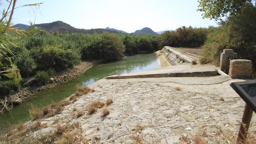 El Vernissa cuenta los secretos de su flora y fauna fluvial