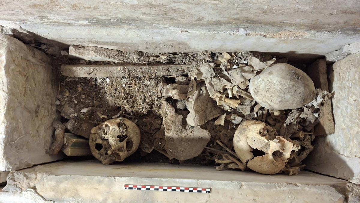 Restos óseos de varios cadáveres encontrados en el sepulcro de la abadesa Francesca Saportella, en el monasterio de Pedralbes.