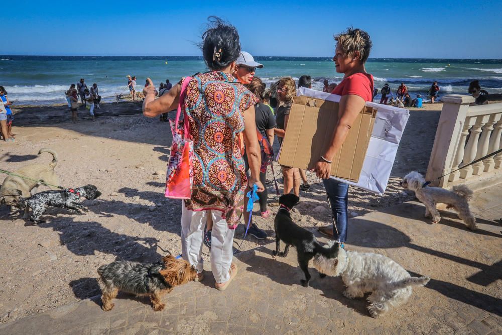 Docenas de usuarios de las playas acompañados de sus perros acudieron a Punta Margallo a pedir respeto y civismo en estos tramos litorales tras los "actos de sabotaje" de las señalizaciones