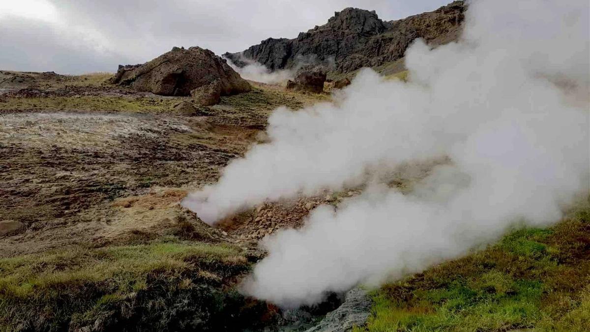 Praderas subárticas sometidas a un calentamiento geotérmico natural en Islandia.