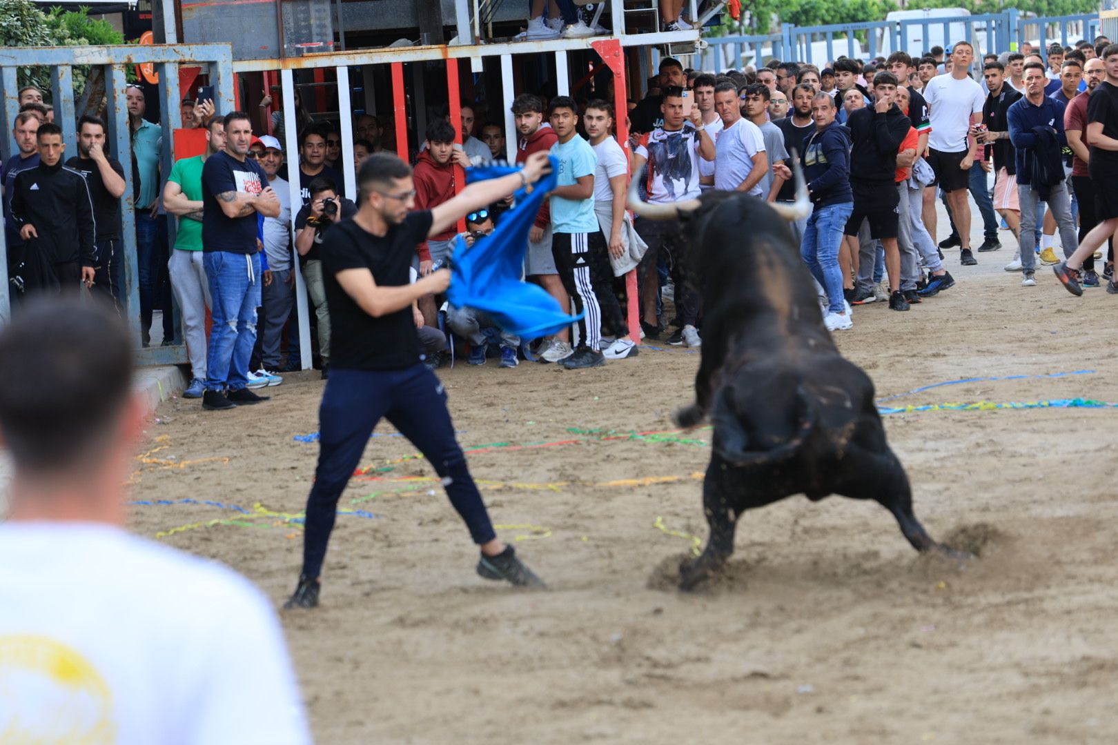 Fotos de la tarde taurina del jueves de las fiestas de Sant Pasqual en Vila-real