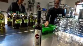 La producción de aceite de oliva aumenta un 28% y el Gobierno ya habla de una bajada de precios tras el verano