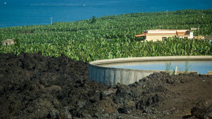 El Estado destina 6,1 millones a la modernización del cultivo platanero en La Palma