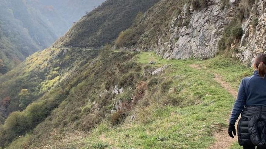 Así se sobrevive una noche perdido en el monte asturiano: bajo una peña y al calor de una fogata