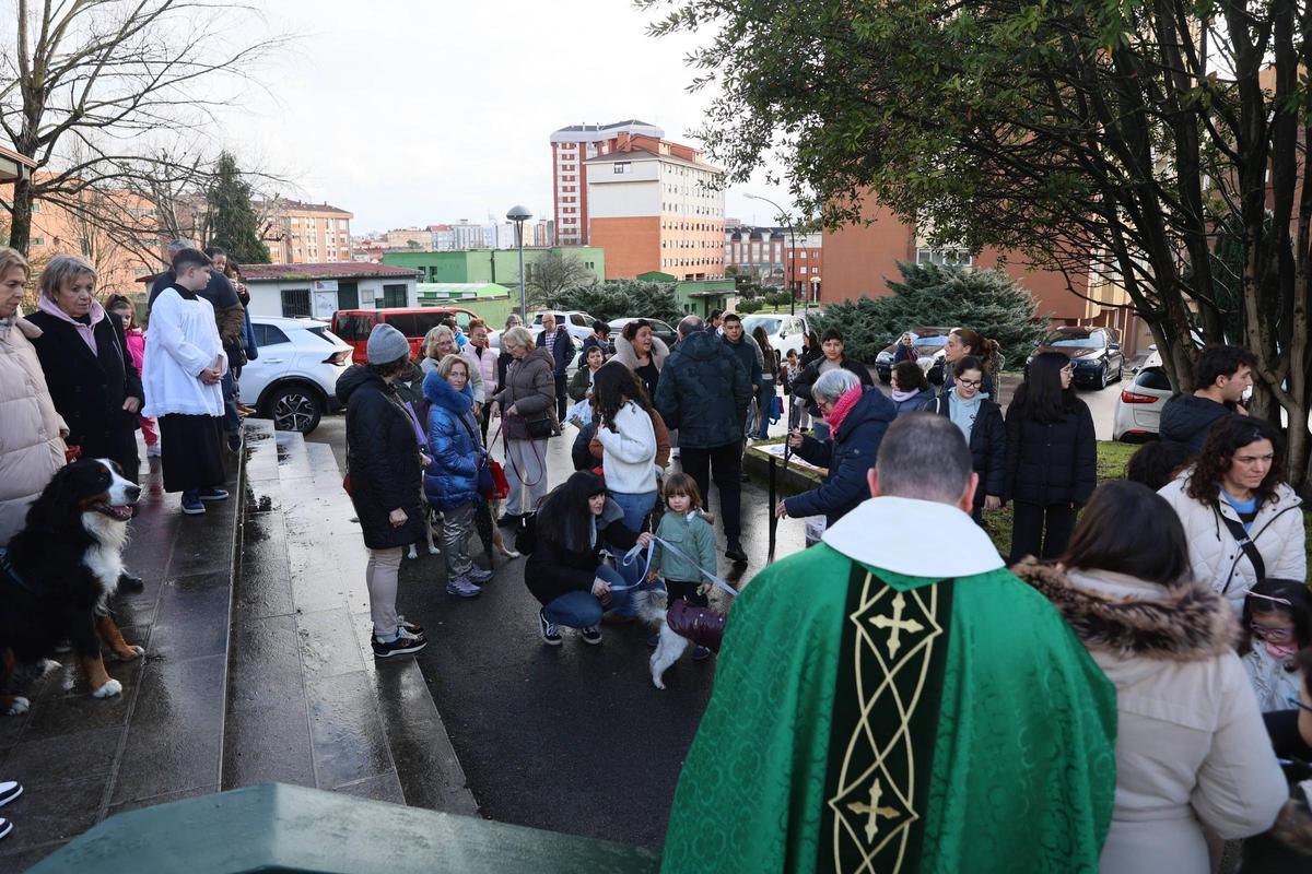 La bendición de animales en La Magdalena, en imágenes