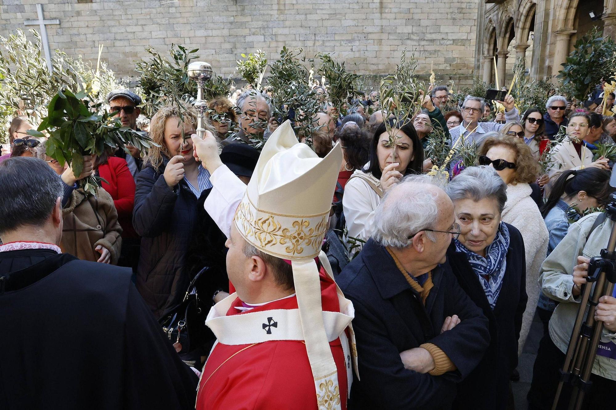 Procesión de la Borriquita y bendición de palmas en el Domingo de Ramos