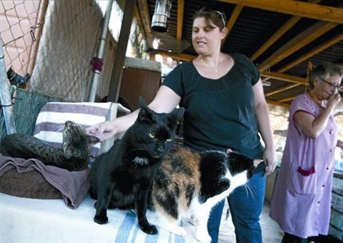 La voluntària Sara Cervelló amb tres dels gats de la protectora UB Gats, dijous al matí. La voluntària Sara Cervelló amb tres dels gats de la protectora UB Gats, dijous al matí.