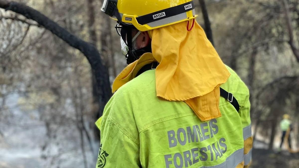 Archivo - Servicio de Bomberos y Bomberas Forestales de la Generalitat