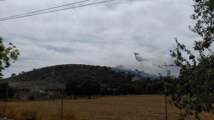 Controlado el incendio de Manacor