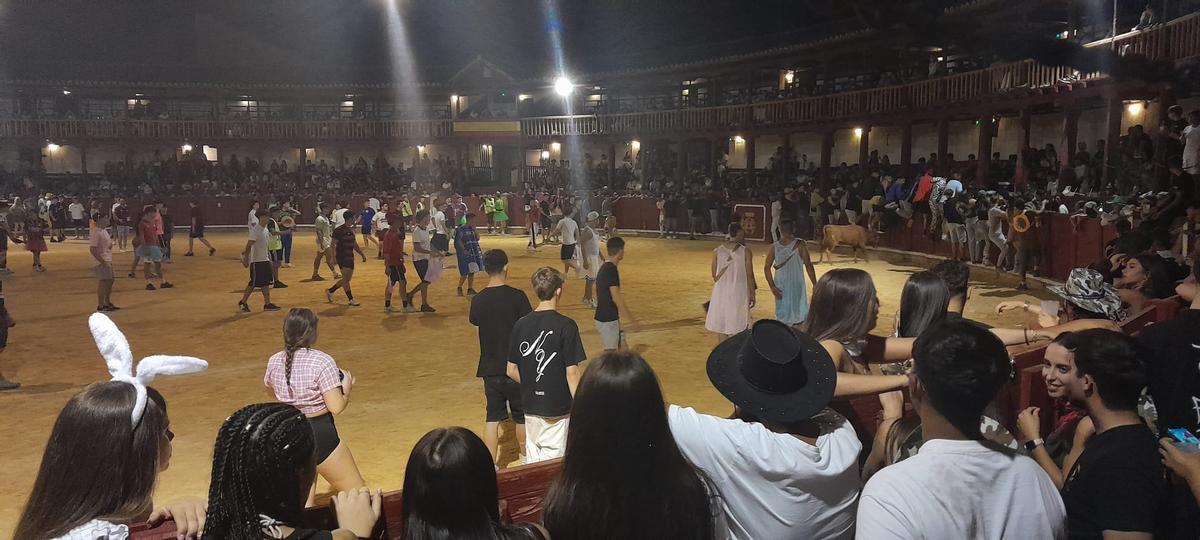 GALERÍA | La verbena taurina de las Fiestas de San Agustín de Toro, en imágenes GALERÍA | La verbena taurina de las Fiestas de San Agustín de Toro, en imágenes