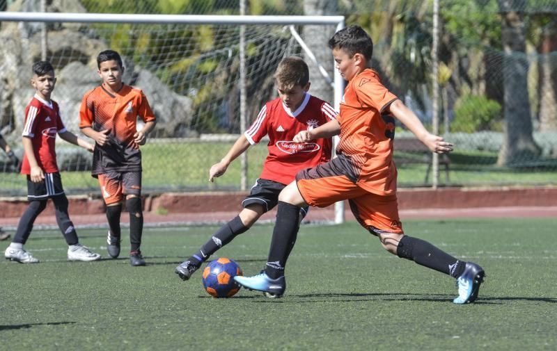 21042018 LAS PALMAS DE GRAN CANARIA. Partido Guiniguada- Almenara FOTO: J. PÉREZ CURBELO  | 21/04/2018 | Fotógrafo: José Pérez Curbelo