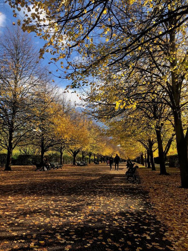 Regent's Park, Londres