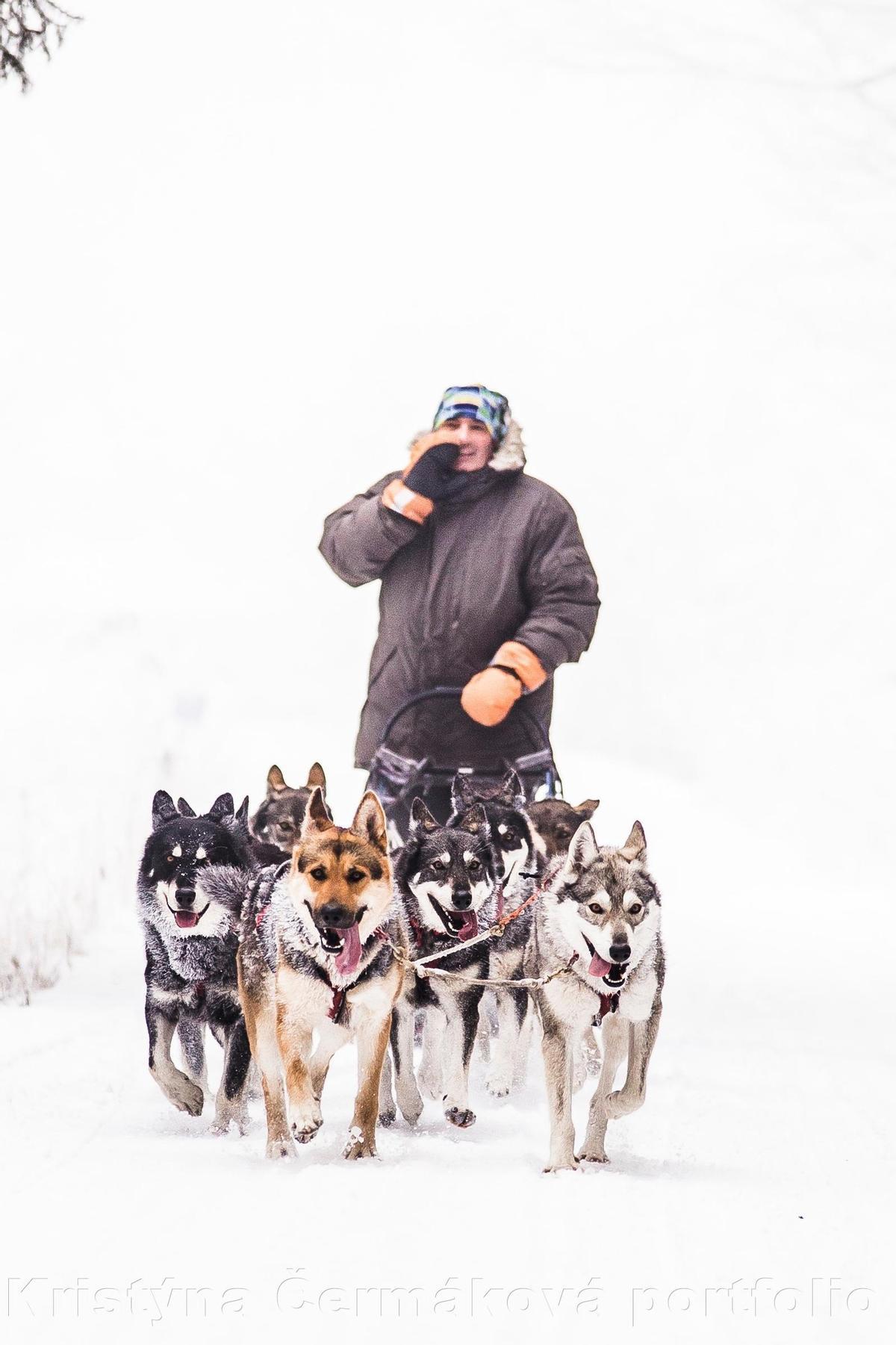 La conexión con los perros es la base de un deporte entre una naturaleza exuberante.