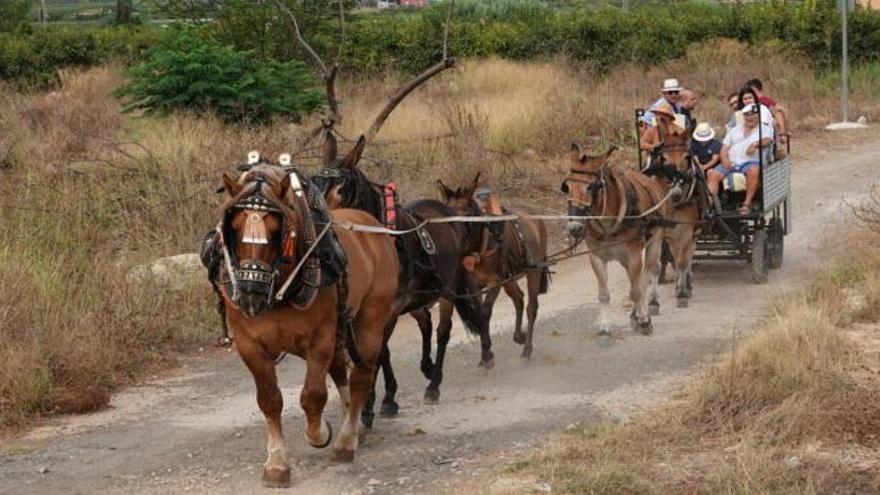 Alginet espera reunir a más de doscientos participantes en su vuelta a caballo