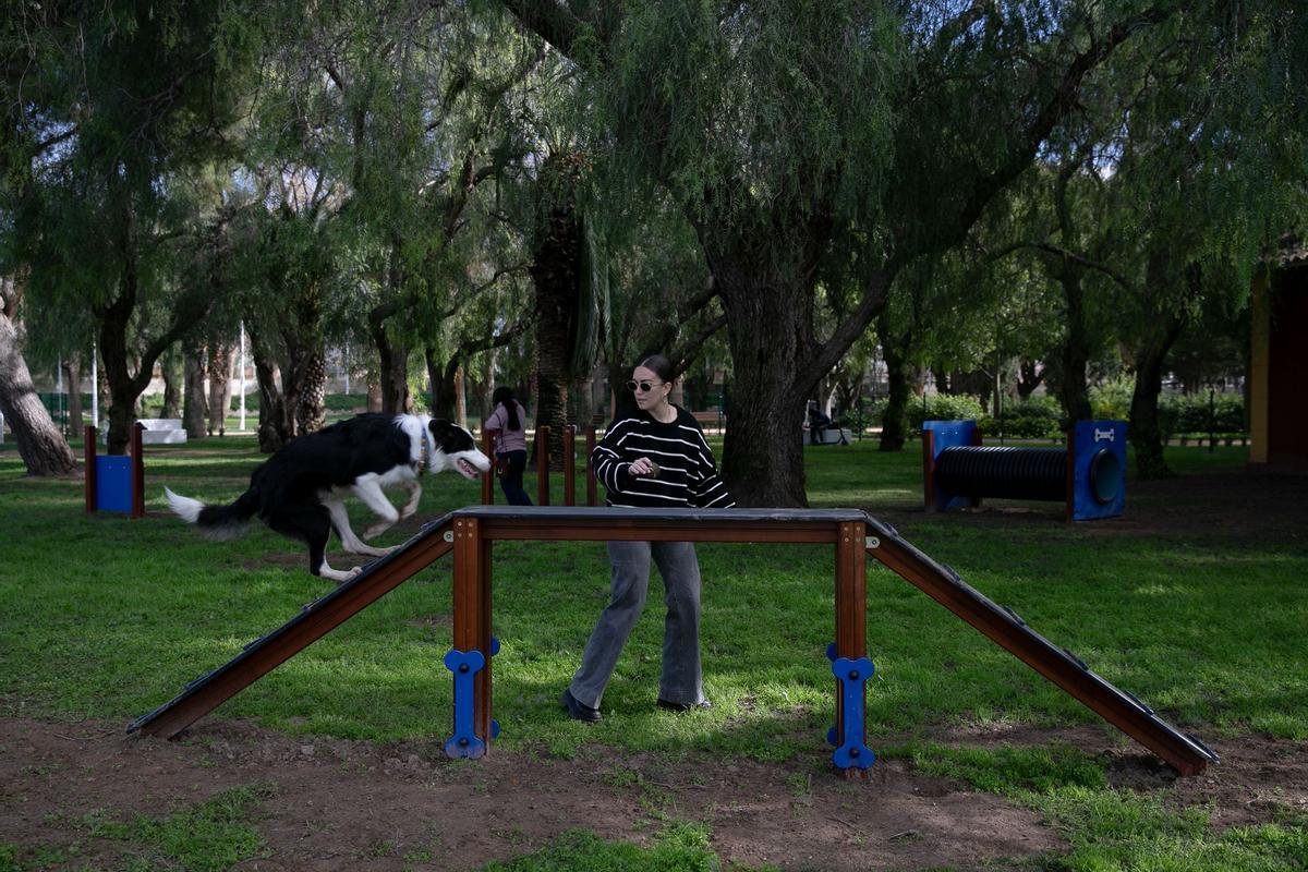 El nuevo parque canino cuenta con zonas de sombra y elementos de juego para perros