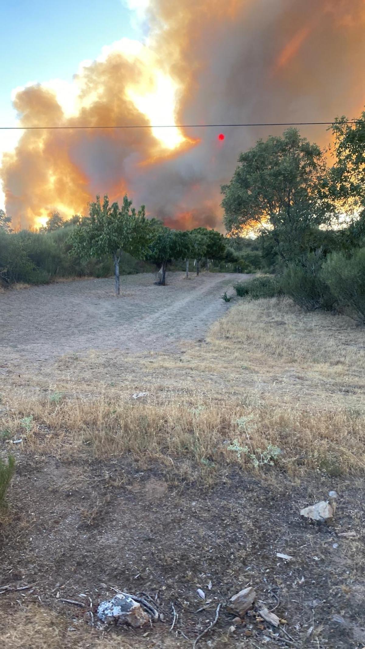 GALERÍA | Incendio forestal en Rábano de aAliste GALERÍA | Incendio forestal en Rábano de aAliste