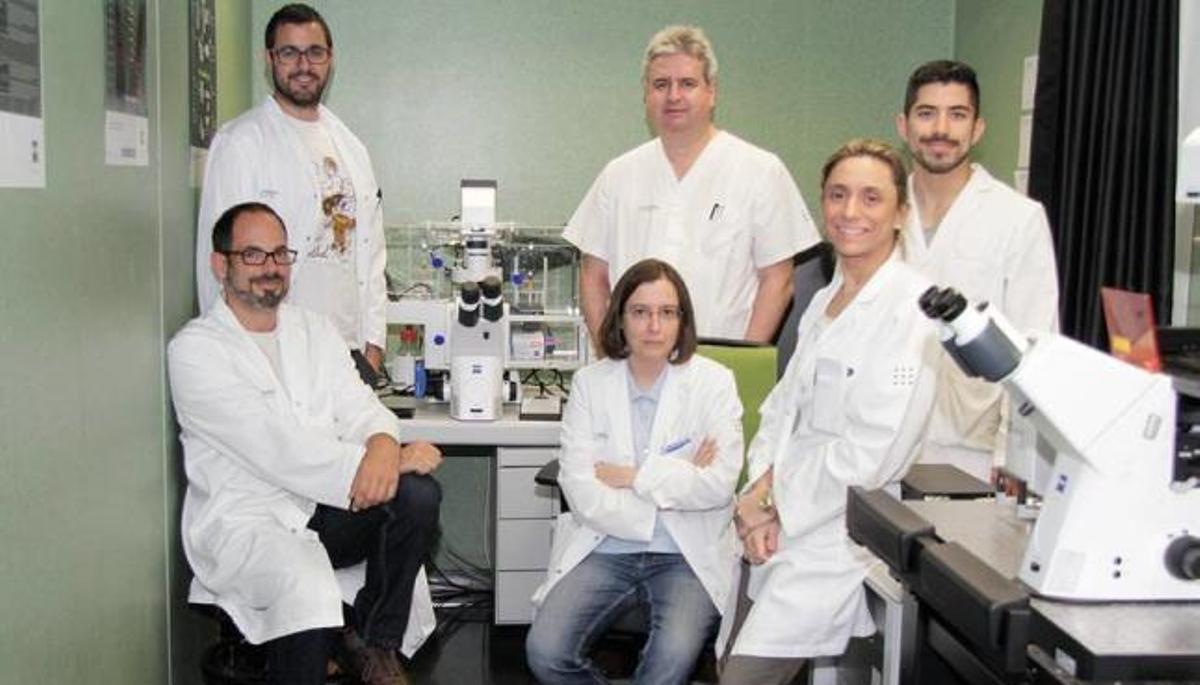 Son Espases perfecciona un fármaco para operar tumores cerebrales