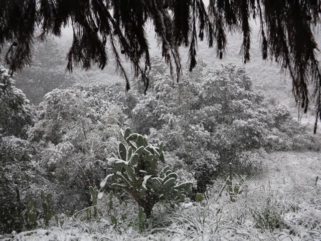 Schnee Mallorca Winter 2017