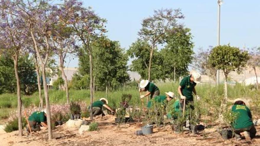 El taller de empleo se centra en la ampliación de la zona verde del parque Adolfo Suárez