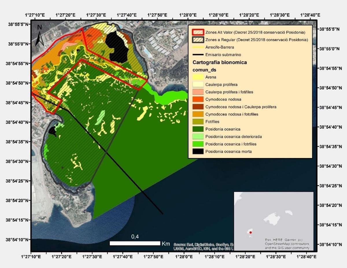 Estudio GEN GOB 2025 posidonia océanica en Pitiusas Estudio GEN GOB 2025 posidonia océanica en Pitiusas