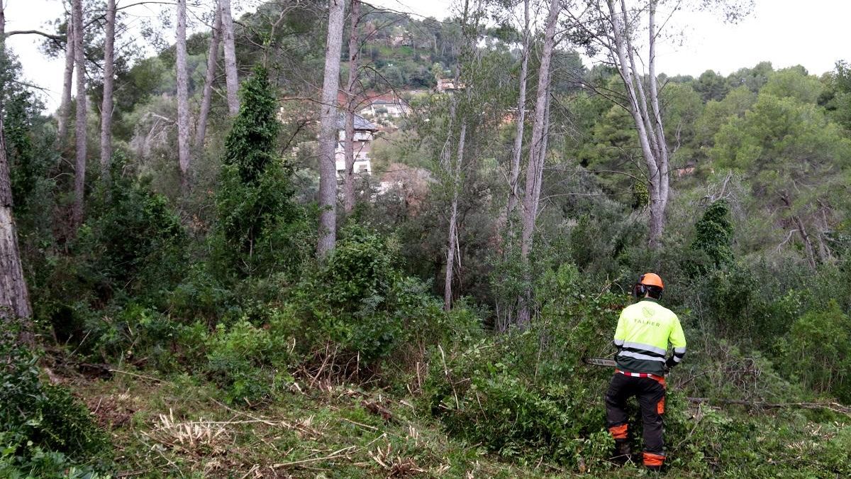 El Govern prevé que todos los municipios obligados tengan aprobados planes de prevención de incendios en 2026